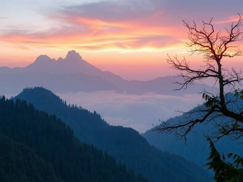 上海卫仕生物科技公司外景